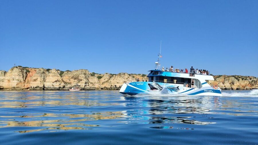 Lagos: Dolphins & Caves - Catamaran - Dolphin watching with live science, not just spotting