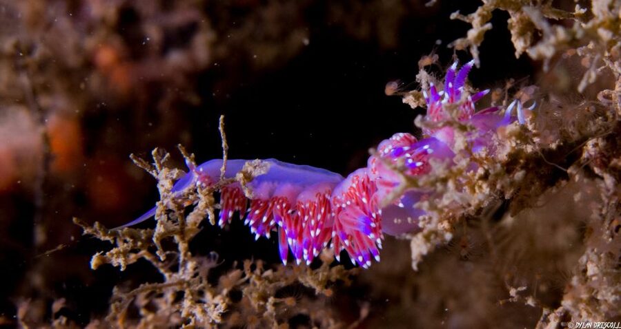 Lagos: Guided Scuba Diving Trip for Beginners - What You Should Bring (And What You Should Skip)
