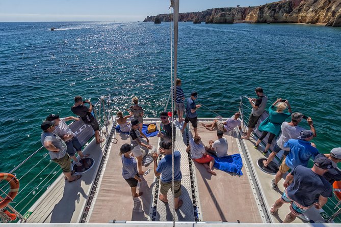 Lagos Half-Day Catamaran Cruise with Lunch - Beyond sightseeing: paddles and the open-water waterpark