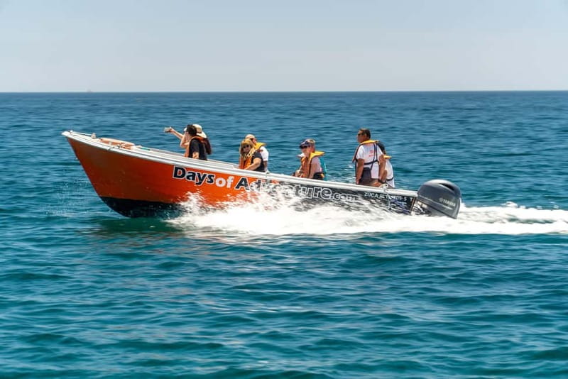 Lagos: Ponta da Piedade Caves Boat Tour - Tide and sea conditions: why your route may change