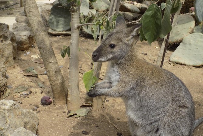 Lagos Zoo Admission Ticket - Price and value: what about $22 gets you