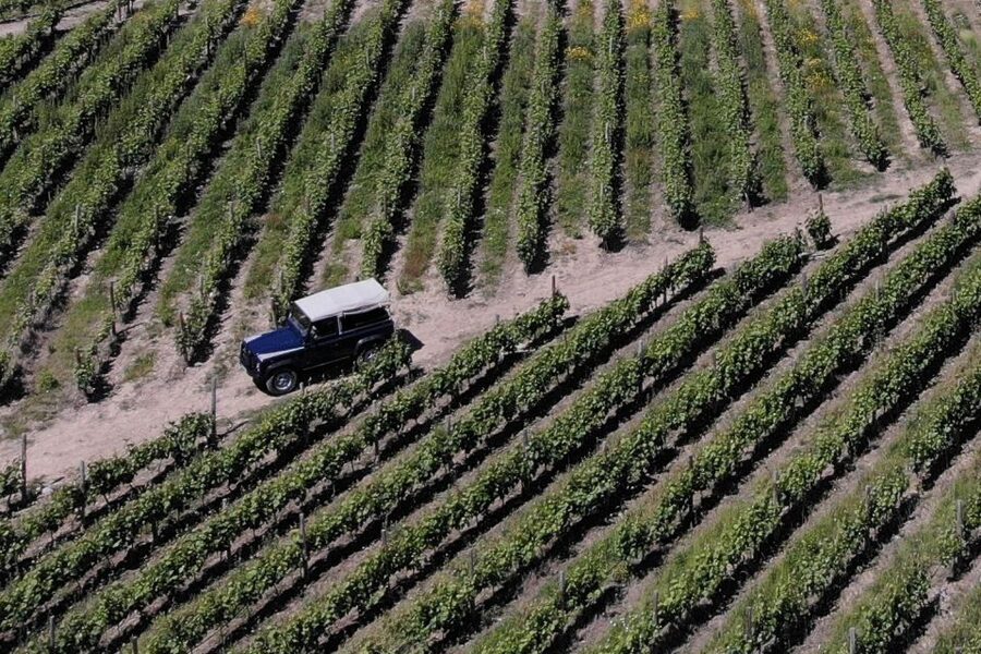 Lamego: Quinta da Portela de Baixo Winery Tour and Tasting - Quinta da Portela de Baixo in Lamego: what you are really paying for
