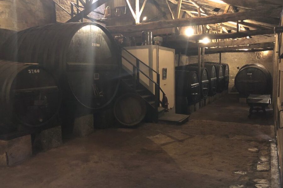 Lamego: Quinta da Portela de Baixo Winery Tour and Tasting - The 200-year Wine Cellar Museum: where the story starts