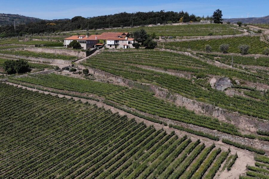 Lamego: Quinta da Portela de Baixo Winery Tour and Tasting - Winery views in the Douro: why this stop feels different