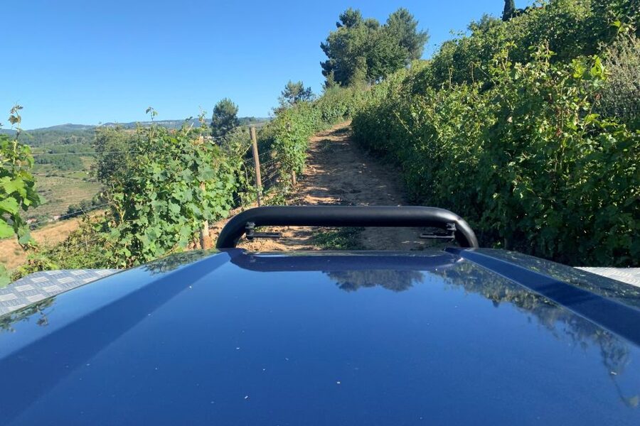 Lamego: Quinta da Portela de Baixo Winery Tour and Tasting - English-language guidance: what the host focuses on