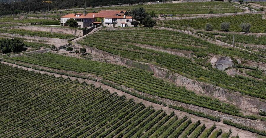 Lamego: Quinta da Portela de Baixo Winery Tour and Tasting - Price and value: $35 for museum plus tasting plus food