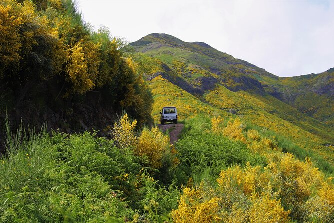 Let-Me-Surprise-You Private Full-Day Tour in All Terrain Vehicle - Madeira from high mountains to volcanic coast, in one long day