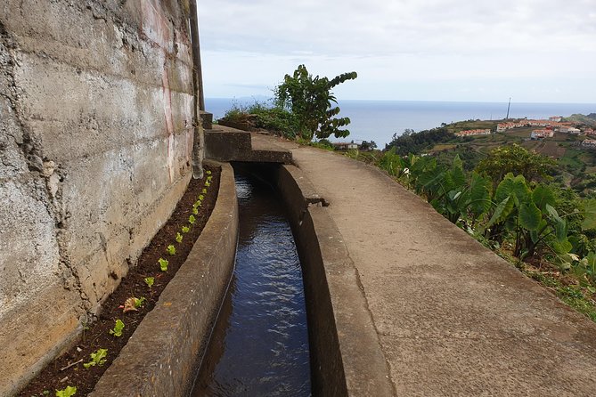 Levada da Referta - Castelejo - The end of the hike: a small café stop with poncha