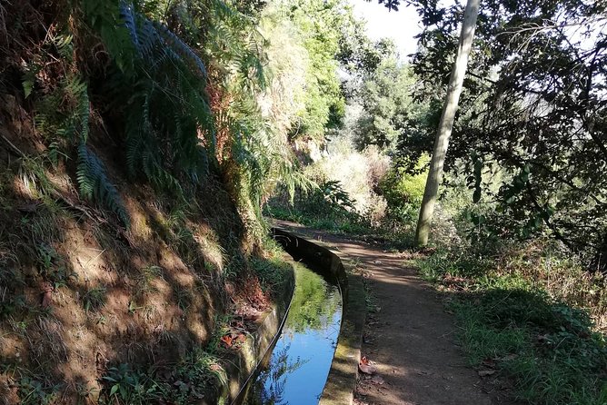 Levada da Referta - Castelejo - The 2-hour walk along the Levada da Referta: what you’ll see