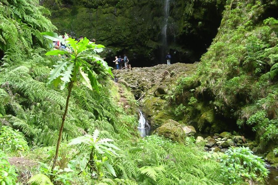 Levada Walk and Caldeirao Verde Waterfalls: Madeira - Key things I’d plan for