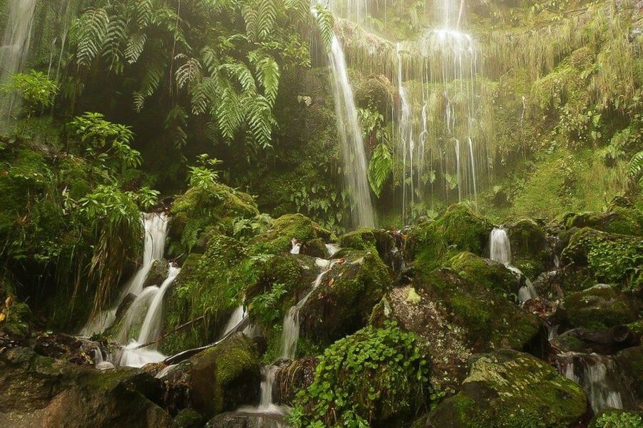 Levada Walk and Caldeirao Verde Waterfalls: Madeira - Why Madeira’s levadas make this hike different