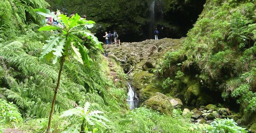 Levada Walk and Caldeirao Verde Waterfalls: Madeira - The core of the trip: 4.5 hours on the levada route