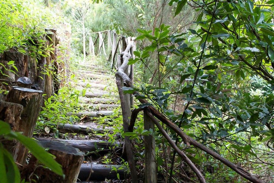 Levada Walk and Caldeirao Verde Waterfalls: Madeira - Caldeirão Verde waterfall: how the 30 minutes really feel