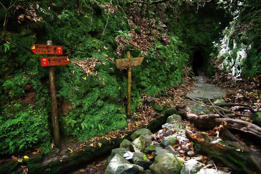 Levada Walk and Caldeirao Verde Waterfalls: Madeira - Timing: the 7-hour day trip (and how to survive it well)