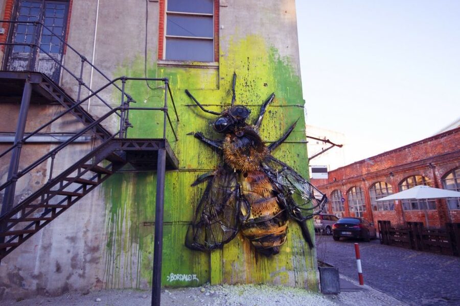 Lisbon: 3-Hour Street Art Tuk Tuk Tour - Guides make the difference, and the tour has strong ones
