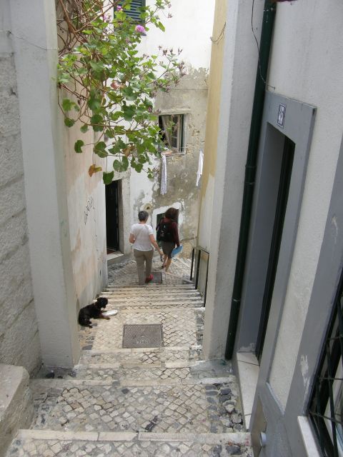 Lisbon: Alfama and São Jorge Castle Quarters Walking Tour - Starting at Casa dos Bicos, then getting your bearings in Alfama