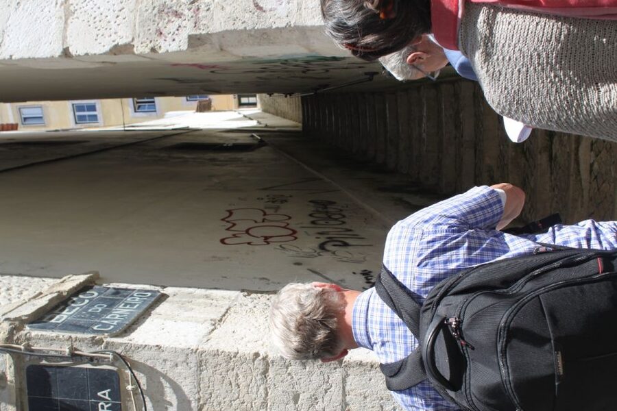 Lisbon: Alfama and São Jorge Castle Quarters Walking Tour - House of Spikes and survivors after 1755, why meeting point matters
