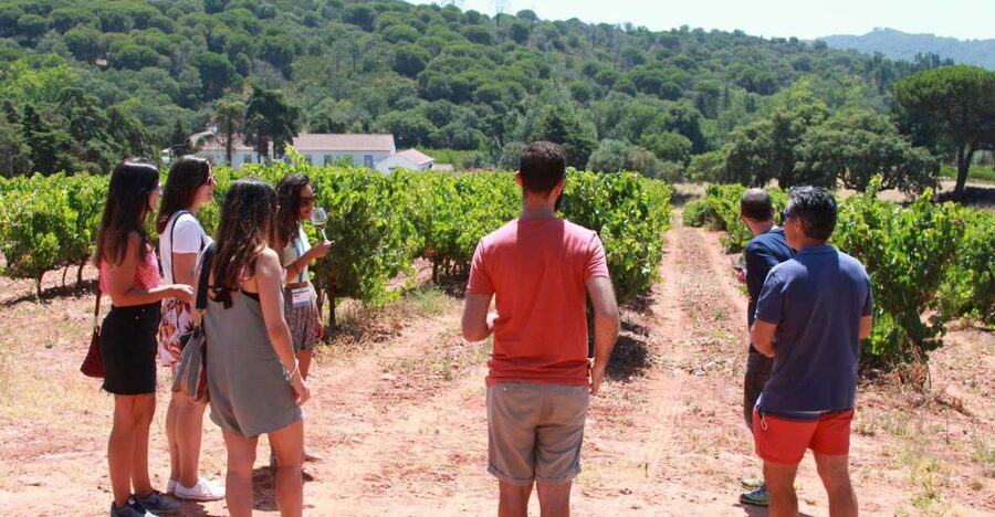 Lisbon: Arrábida and Sesimbra Day Trip with Wine - Key highlights to look for