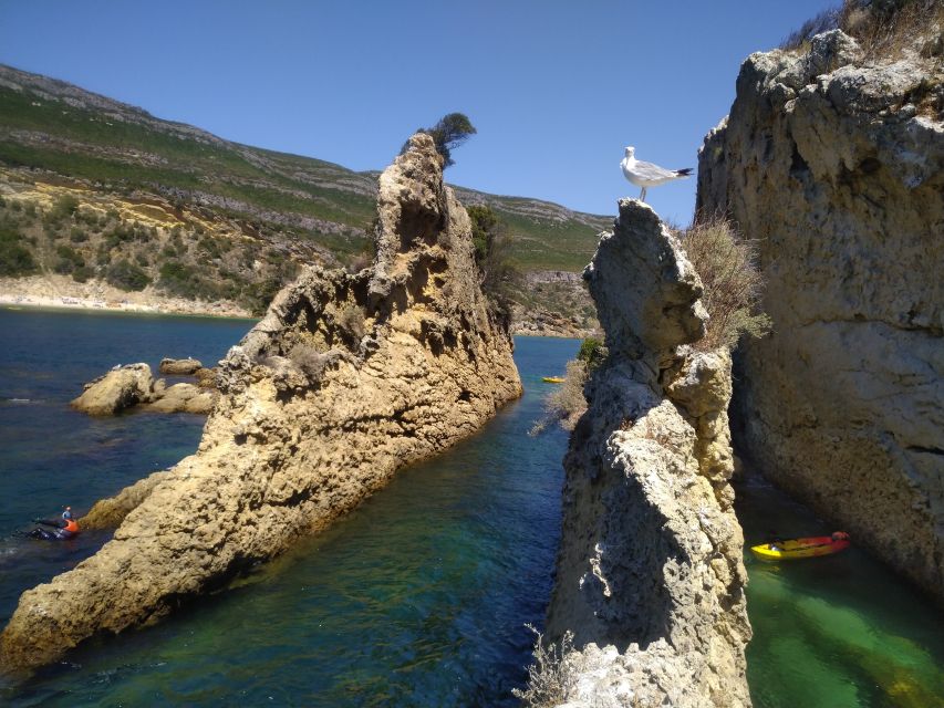 Lisbon: Arrábida Kayak and Coasteering Adventure Tour - Beach picnic, homemade wine, and the chorizo finish