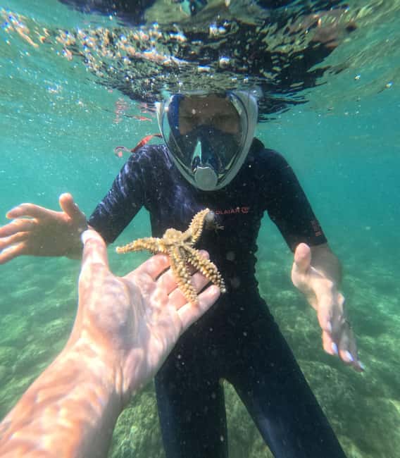 Lisbon: Arrábida Kayak & Wild Beach Snorkeling with Pickup - What the wild-beach time feels like, beyond the fish