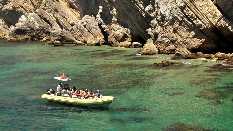 Lisbon: Arrábida Natural Park Dolphin Watching Boat Tour - Who should book this tour, and who should set different expectations