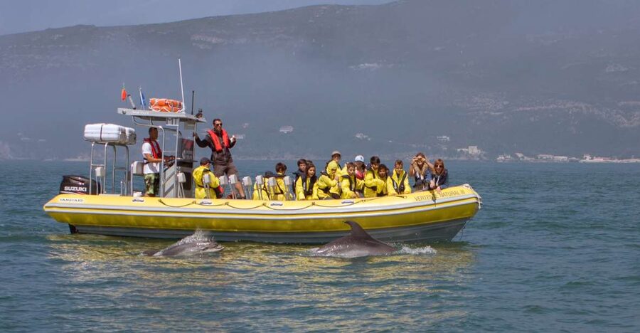 Lisbon: Arrábida Natural Park Dolphin Watching Boat Tour - The semi-inflatable boat ride, calm ocean and a closer feel