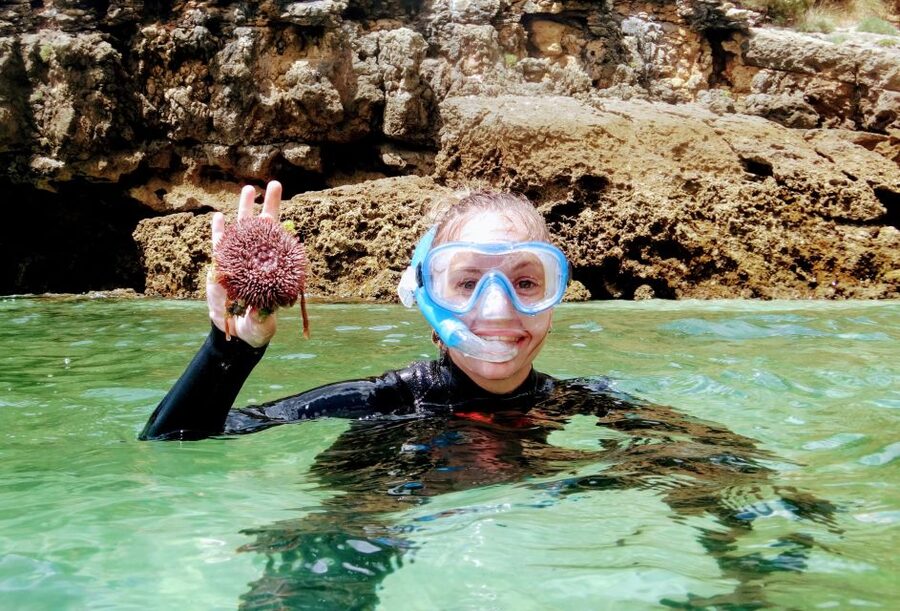 Lisbon: Arrábida Snorkeling Adventure - Key things you’ll enjoy in Arrábida