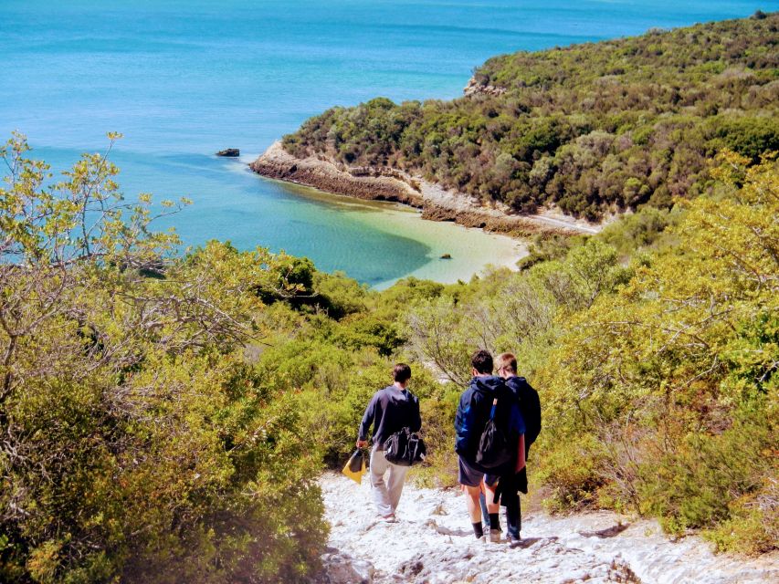 Lisbon: Arrábida Snorkeling Adventure - Why Arrábida snorkeling feels different from a typical Lisbon day trip