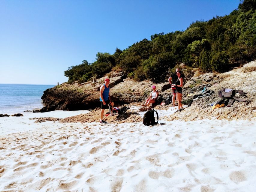 Lisbon: Arrábida Snorkeling Adventure - Arrábida from above: fossil cliffs and coastal viewpoints
