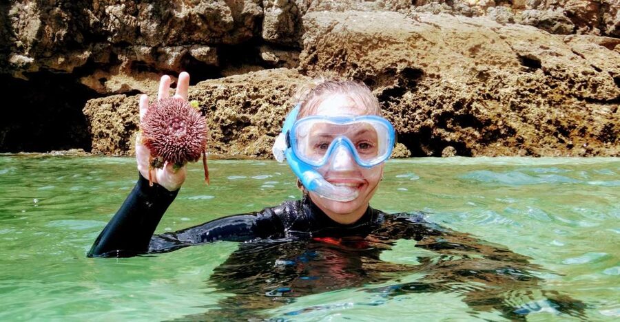 Lisbon: Arrábida Snorkeling Adventure - Getting started: Lisbon Zoo meeting point and how the day begins