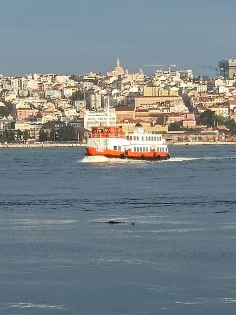 Lisbon: Belem, Jeronimos Monastery, and Coach Museum Tour - The 3.5-hour pacing: what it feels like in real life