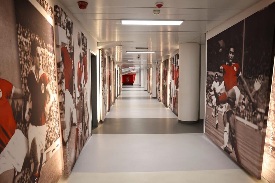 Lisbon: Benfica Luz Stadium Tour with Souvenir Scarf - Benfica Campus and Eagle Hall: The Fan-Themed Storytelling