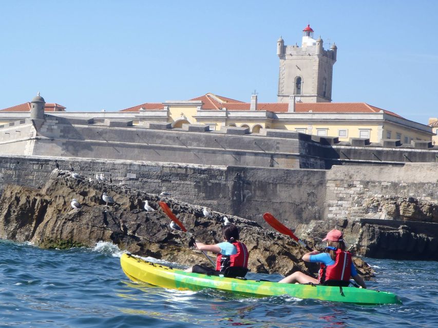 Lisbon: Coast Guided Kayak Tour - Quick Takeaways Before You Paddle