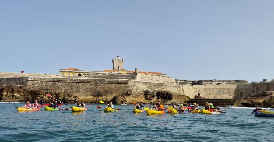 Lisbon: Coast Guided Kayak Tour - Oeiras Launch Point: BORK Kayak & Outdoor Centre Setup