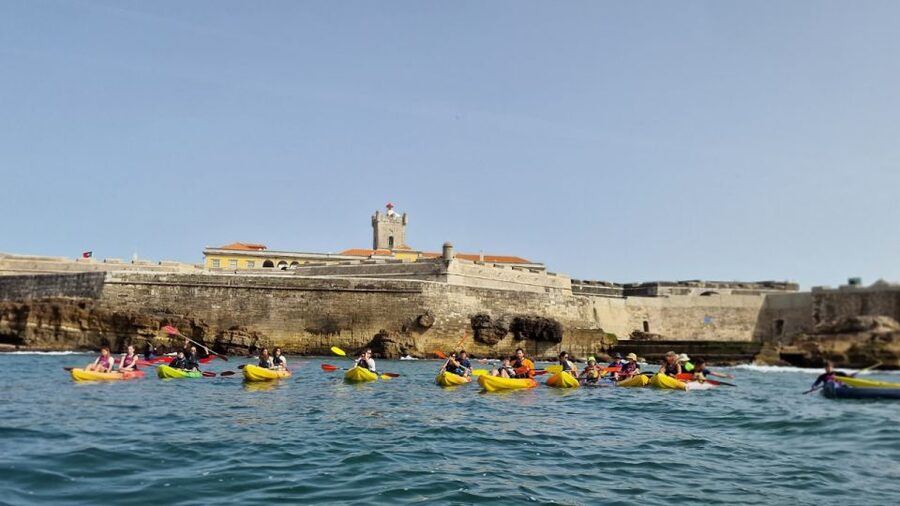 Lisbon: Coast Guided Kayak Tour - From Oeiras Harbor Toward Praia de Carcavelos: Coast Views You Can’t Fake