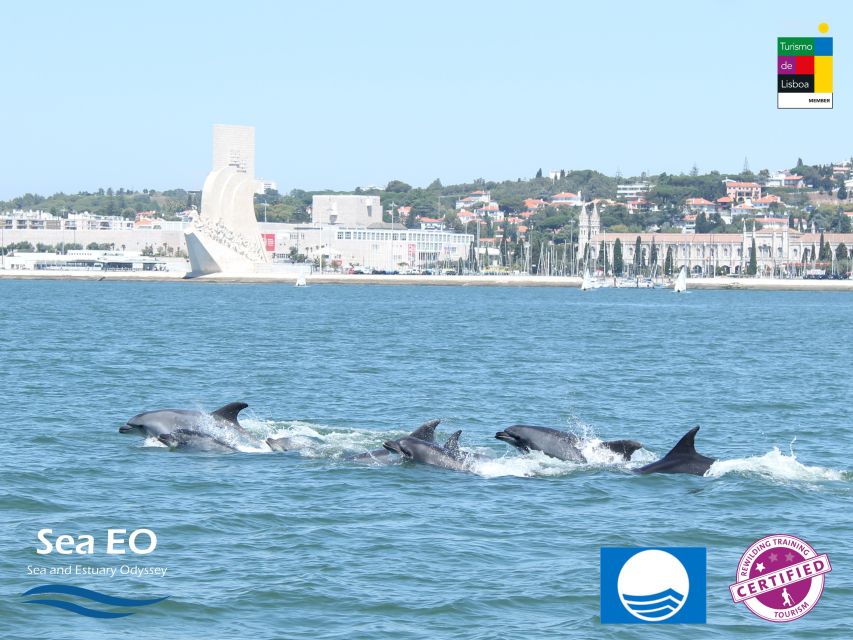 Lisbon: Dolphin Watching with Marine Biologist - Cascais Connection: What You See at JJ85+VG