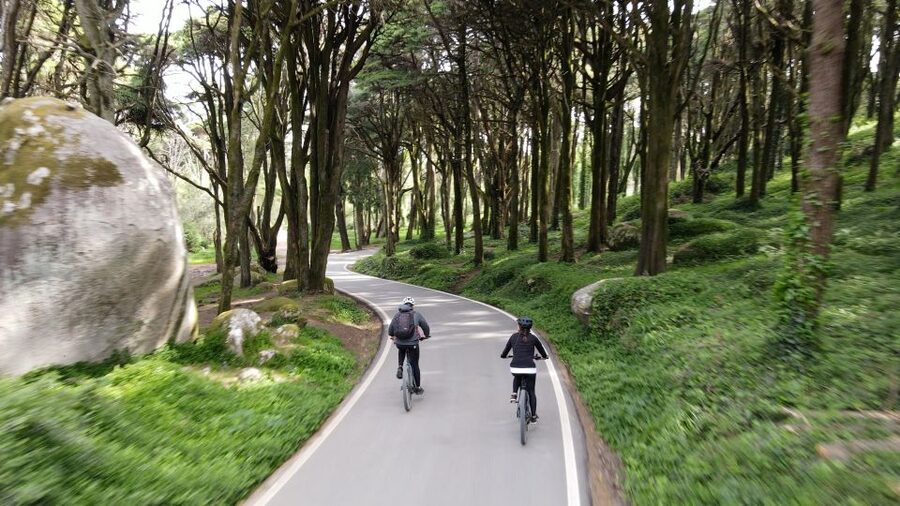 Lisbon: E-bike Trip from the Sintra Mountains to Cascais Sea - Sintra Forest route: sheep, horses, gardens, and that fresh water fountain