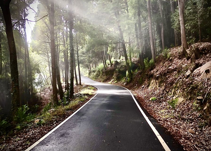 Lisbon: E-bike Trip from the Sintra Mountains to Cascais Sea - Kids on this e-bike route: wheel sizes, seats, trailers, and pace