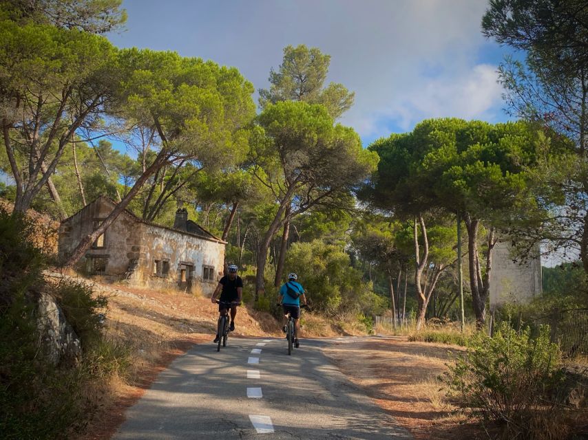 Lisbon: E-bike Trip from the Sintra Mountains to Cascais Sea - High-end Bosch e-mountain bikes: why the hills don’t run the show