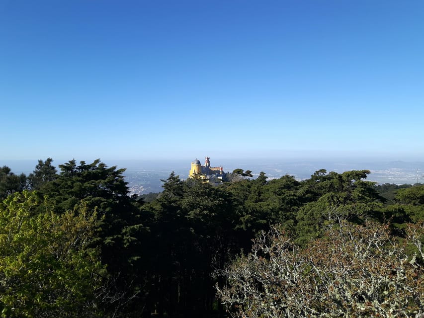 Lisbon: Half-Day Sintra Tour with Pena Palace and Regaleira - Walking conditions: what to wear in Sintra so you enjoy it