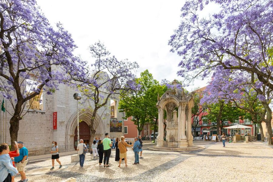 Lisbon: History, Stories and Lifestyle Walking Tour - Tram ride to Portas do Sol: Tagus views, castle-area energy