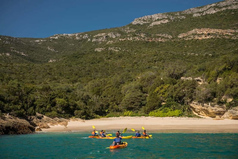 Lisbon: Kayak Tour Arrábida Natural Park, Setubal, Sesimbra - Caves and secret beaches along the Arrábida coast