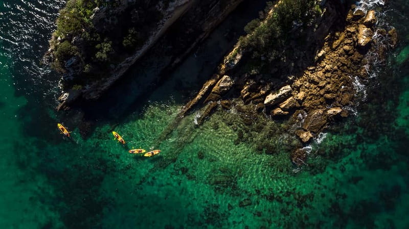 Lisbon: Kayak Tour Arrábida Natural Park, Setubal, Sesimbra - Anicha Island: wildlife watching with your face near the water