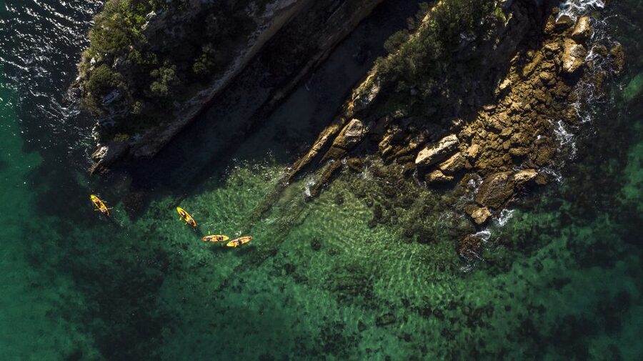 Lisbon: Kayak Tour Arrábida Natural Park, Setubal, Sesimbra - Price and value: why about $47 feels fair here