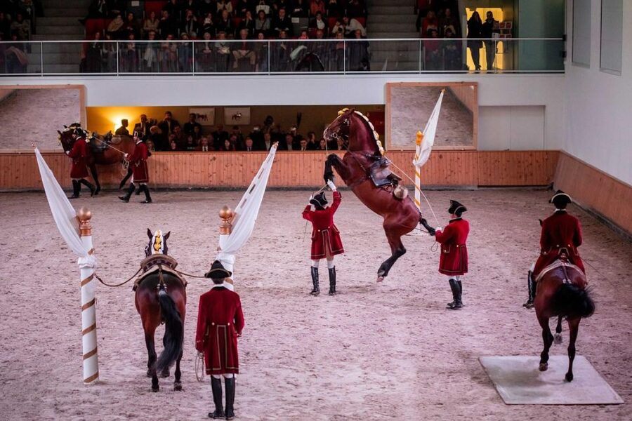 Lisbon: Morning of Equestrian Art with Lusitano Horses - Key points to know before you go