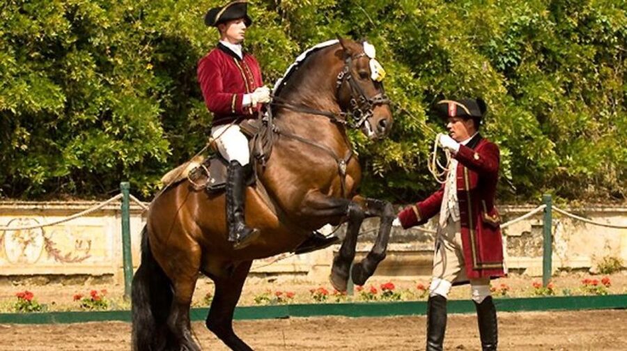 Lisbon: Morning of Equestrian Art with Lusitano Horses - Why Lusitano training at Henrique Calado feels different