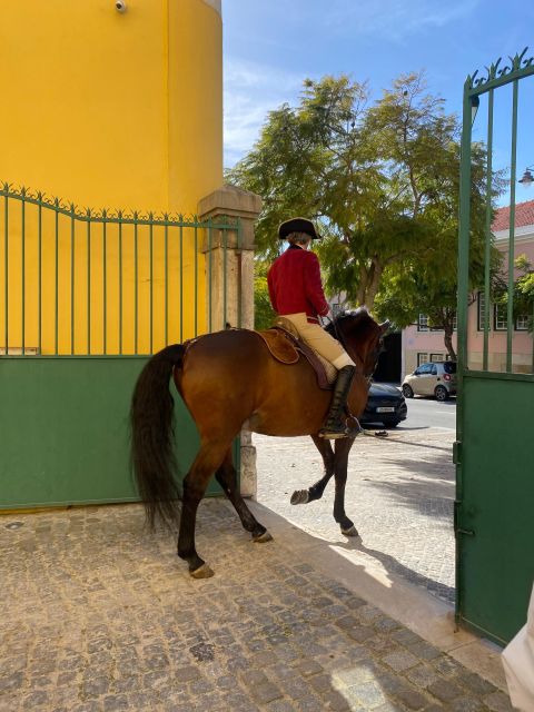 Lisbon: Morning of Equestrian Art with Lusitano Horses - Henrique Calado Riding Ring: where the training sharpens and photo rules tighten