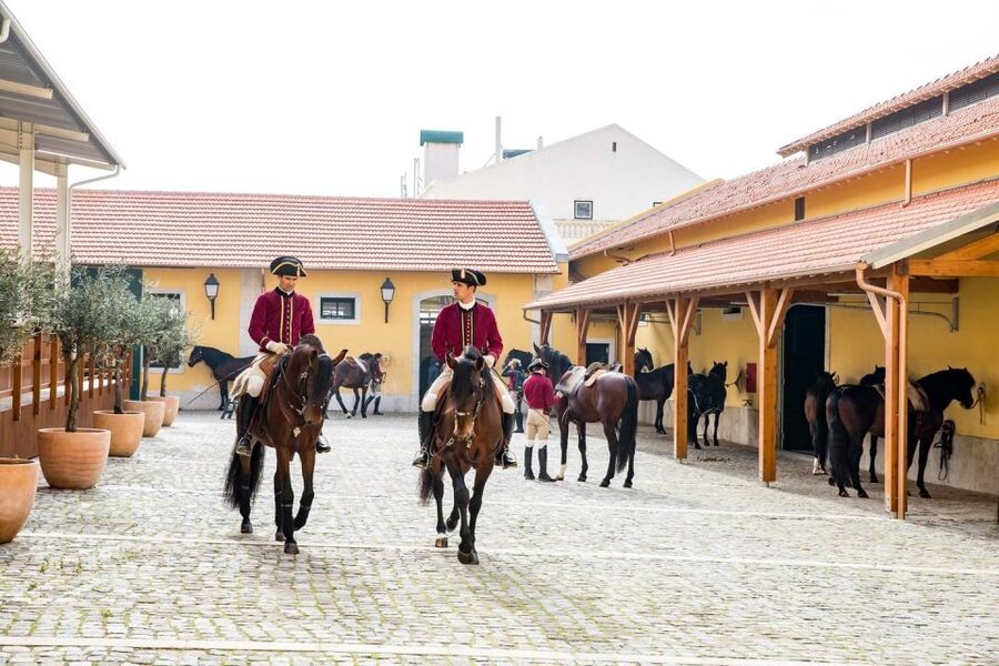 Lisbon: Morning of Equestrian Art with Lusitano Horses - Behind-the-scenes care: handlers, horse welfare, and why it changes your perspective