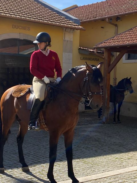 Lisbon: Morning of Equestrian Art with Lusitano Horses - Audio guide, headphones, and smart ways to make the most of 2 hours