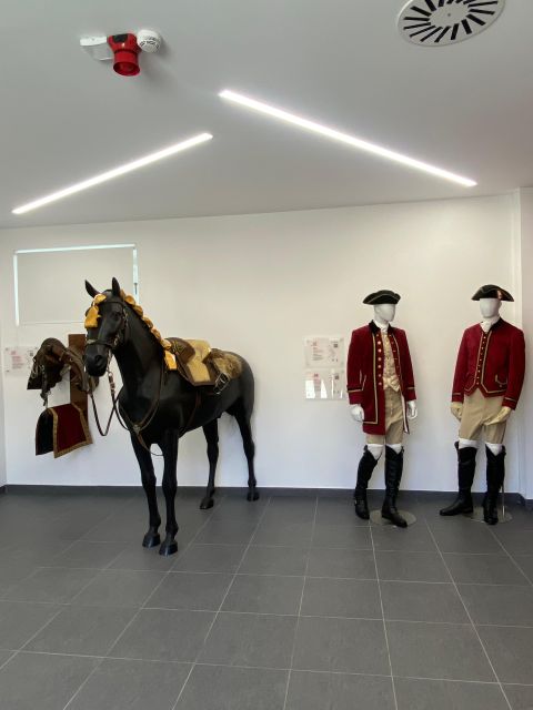 Lisbon: Morning of Equestrian Art with Lusitano Horses - Price and value: is $17 worth a Lusitano morning?